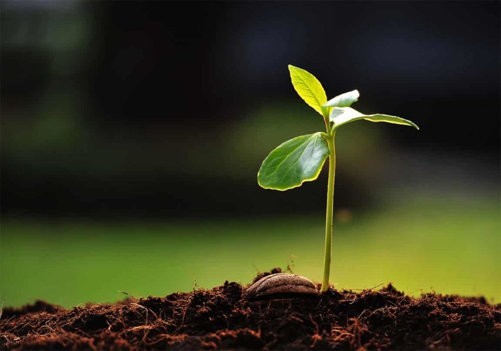 Bærekraft_Det-Norske-Kaffehus-2-1-landscape